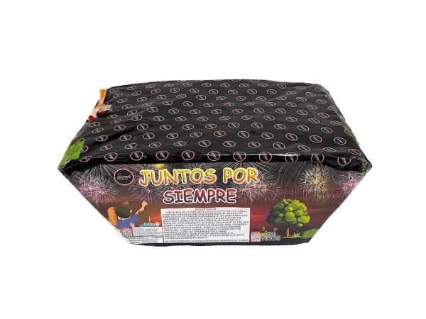 Torta Juntos por Siempre (Abanico) - Image 2